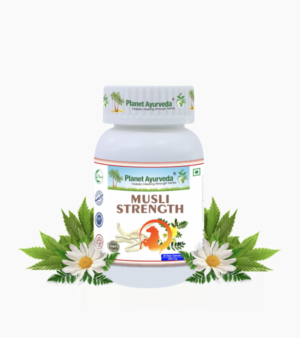 MUSLI STRENGTH CAPSULES 무슬림의 힘 캡슐