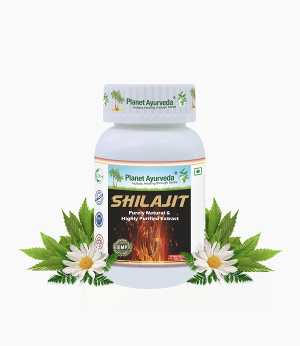 SHILAJIT CAPSULES 실라짓 캡슐