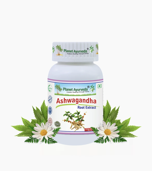 ASHWAGANDHA CAPSULES Root Extra 아쉬아간다 캡슐