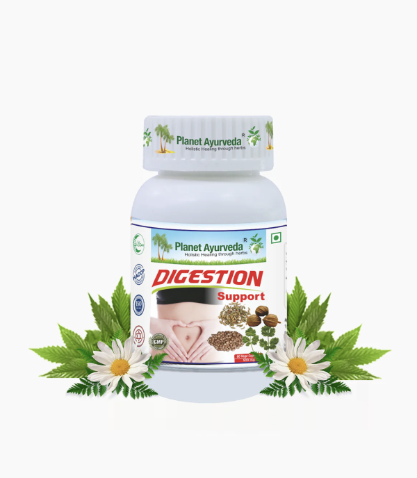 DIGESTION SUPPORT 소화 서포트