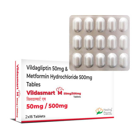 가브스메트정 빌다스마트 50/500mg