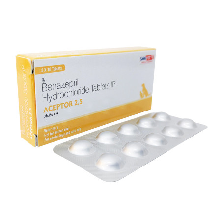 베나실 베나제프릴 ACEPTOR 2.5MG 180정