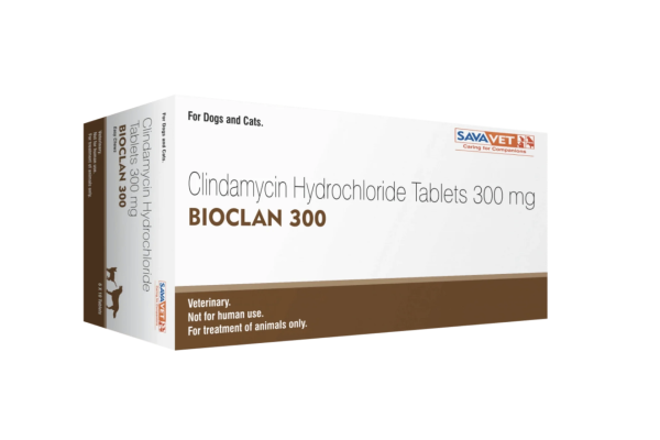 클린디마이신 BIOCLAN 300mg 120정