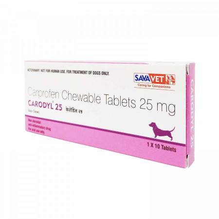 리마딜 칼프로펜 CARODYL 25mg 60정