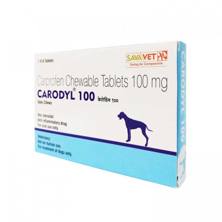 리마딜 칼프로펜 CARODYL 100mg 36정