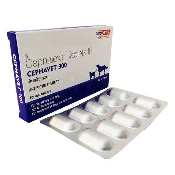 세파셉틴 세팔렉신 Cephavet 300mg