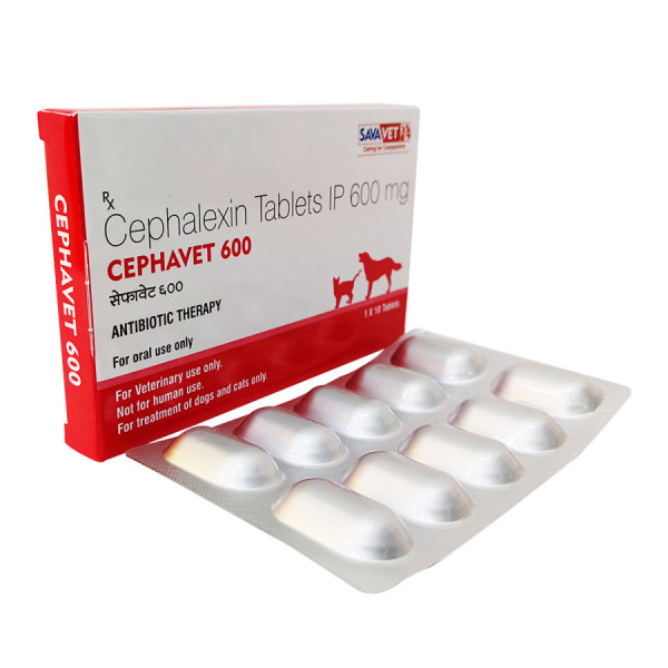 세파셉틴 세팔렉신 Cephavet 600mg