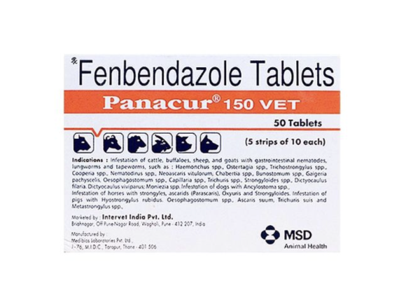 파나쿠어 펜벤다졸 Panacur 150mg